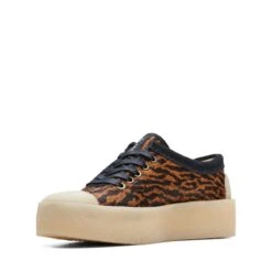 Clarks Tor Hoop Tortoiseshell -Clarks Shoes Store 26172602 W 4